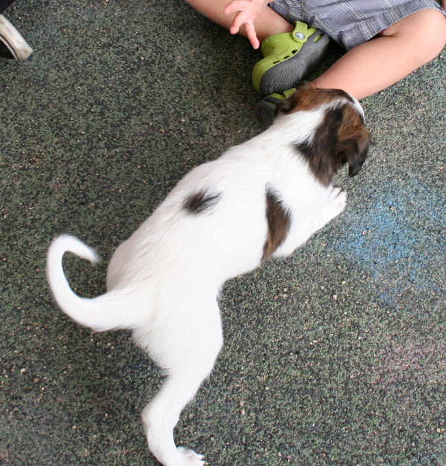 Surf Spots - Boy 1 Playing
